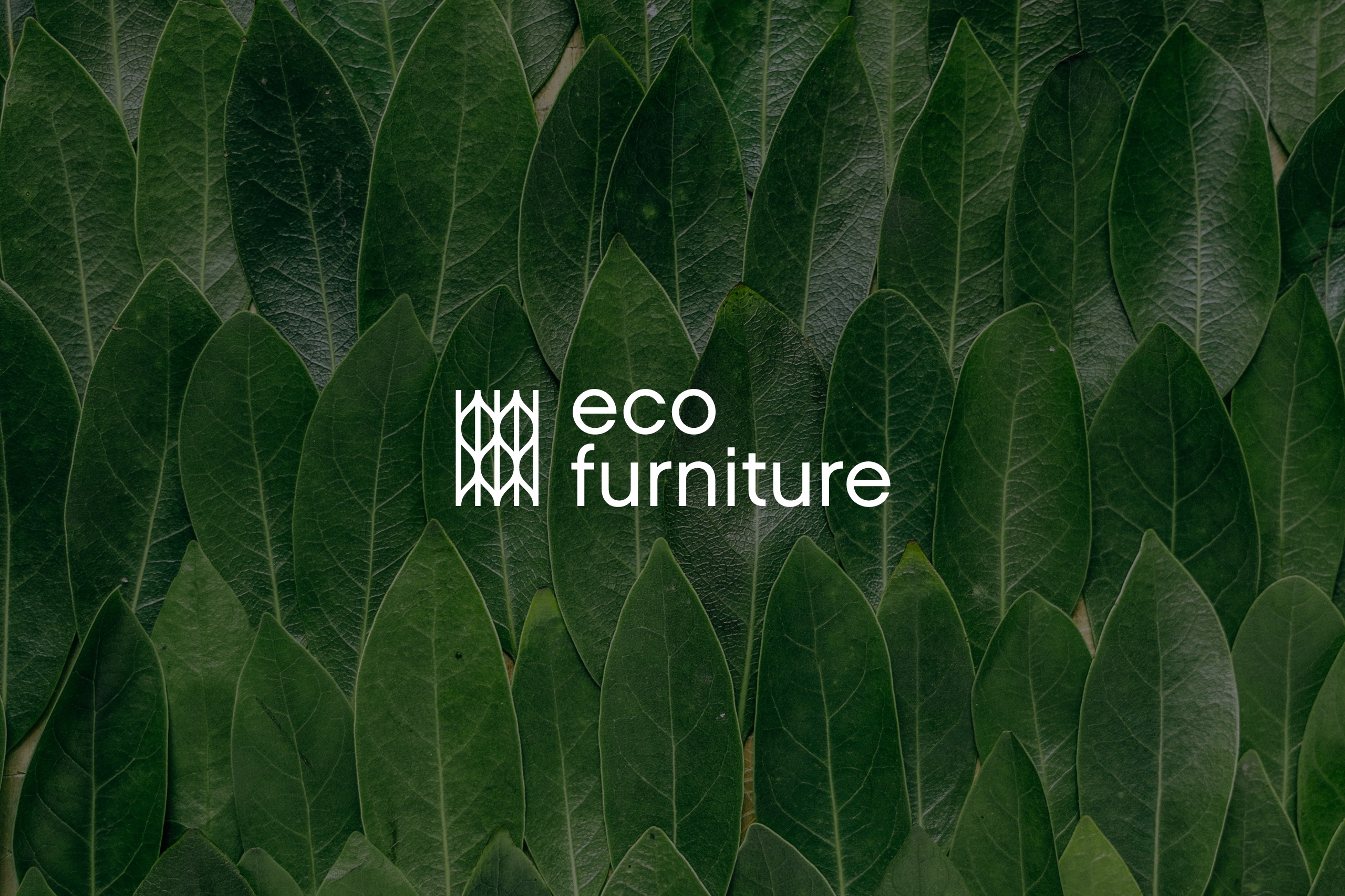 Eco Furniture branding